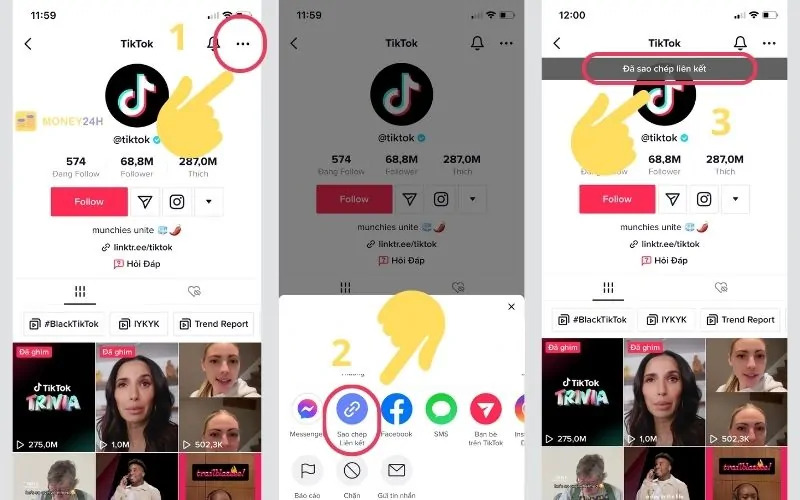 Tiktok đang trở thành xu hướng và thu hút rất nhiều người dùng trên toàn thế giới 